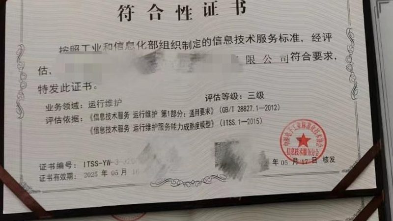 小标题：企业IT运维外包的必要性